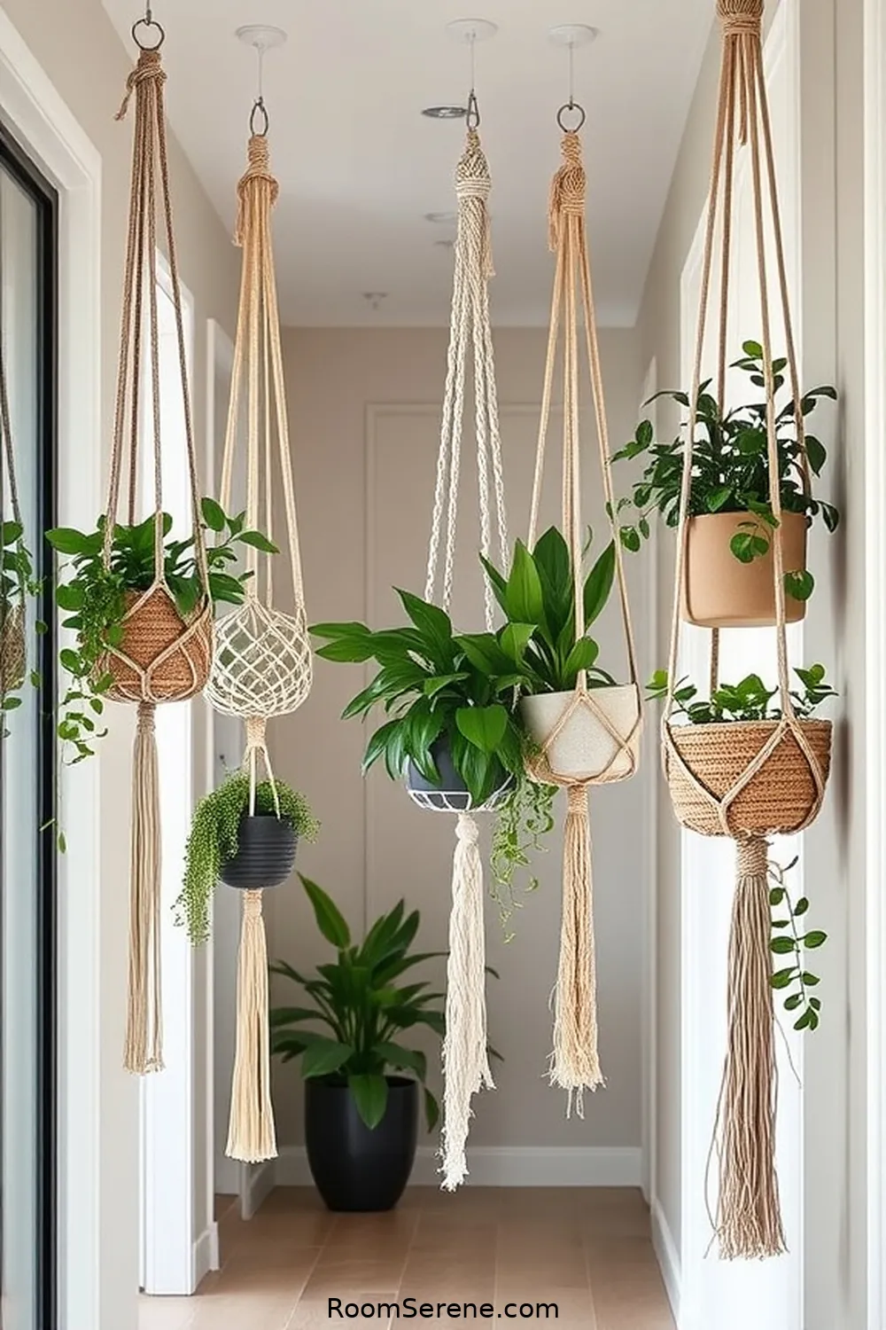 18 Natural Fiber Solutions for Hallway Organization 14 Macrame Plant Hangings for 18 Natural Fiber Solutions for Hallway Organization